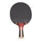 Ракетка для настільного тенісу Landers 6 star у чохлі